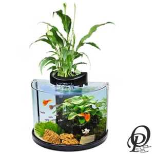 Clear Moon – Acuario Decorativo con Luz Ambiental LED