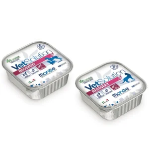 MONGE VET SOLUTION – Recovery