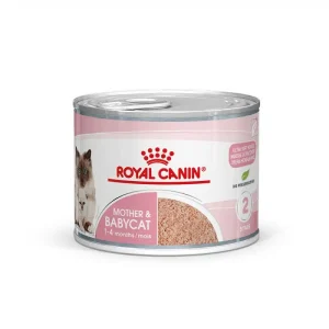 FHN BABY CAT CAN 195G Concentrado para gatos Royal Canin