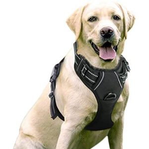 PET SAFETY HARNESS L 65-80CM – NEGRO