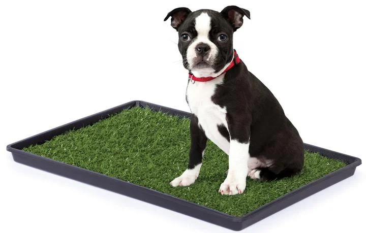 PREVUE PET TINKLE TURF 22 L x 16 W x 1 H