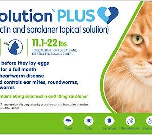 REVOLUTION  CAFE 11.1-22 LBS