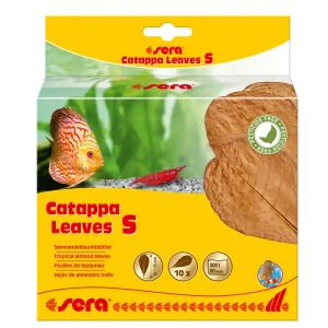 sera Catappa Leaves