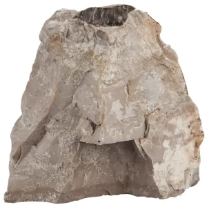 sera Rock Asian Pagoda