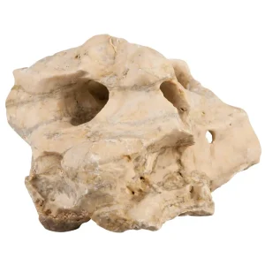 sera Rock Hole Stone