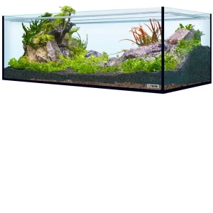 sera Hardscape Shrimp XXL