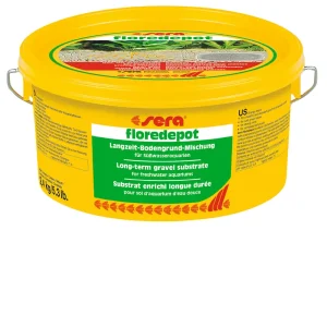 sera floredepot – buena base de las plantas