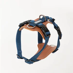 Arnés en H Ergonómico