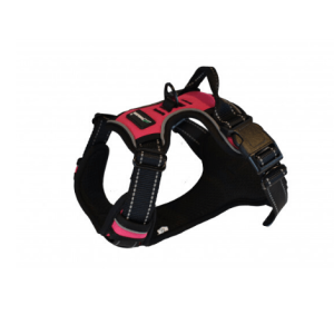 Arnes Traildog «SPORT» Rosa