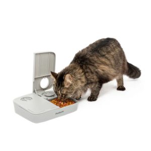 PetSafe 2 Meal Pet Feeder