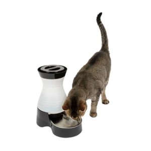 PetSafe Healthy Pet Water Station