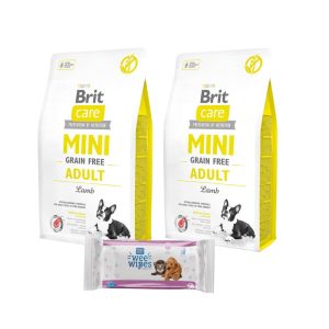 2 Brit Care Mini GF Adult Lamb (2kg) + Pet Ag Wipes GRATIS