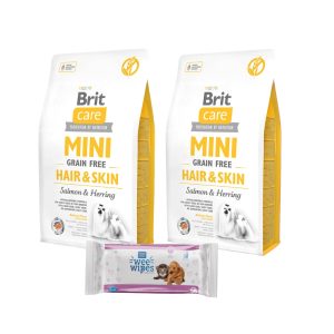 2 Brit Care Mini GF Hair & Skin (2kg) + Pet Ag Wipes GRATIS