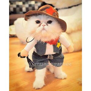 Traje para gato de Vaquero