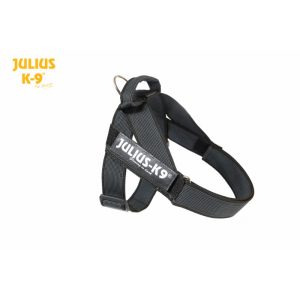 Julius idc cinta negro