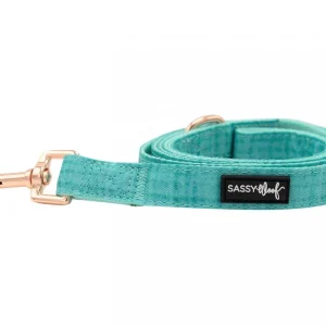 SASSY WOOF LEASH – WAG YOUR TEAL