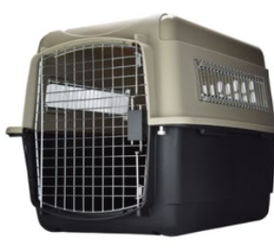 VARI KENNEL INTERMEDIA